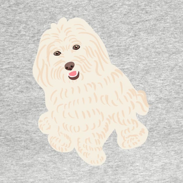 Maltipoo Smiling Sitting by PatternbyNOK